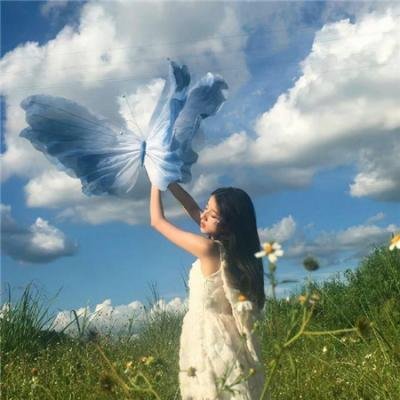 思美人