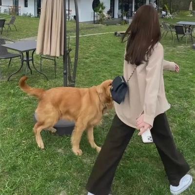 烈焰红唇